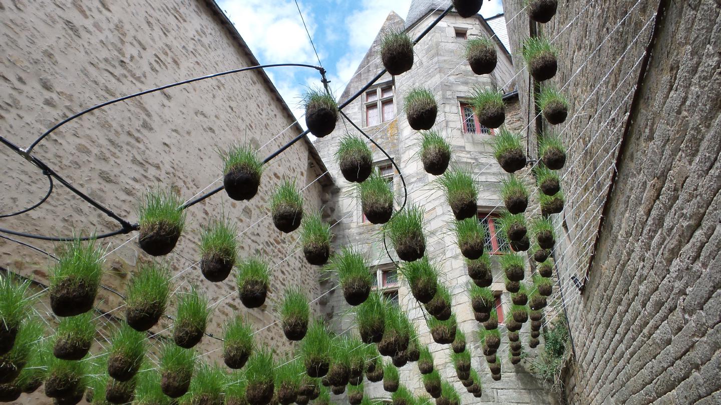 cde150805grassArt