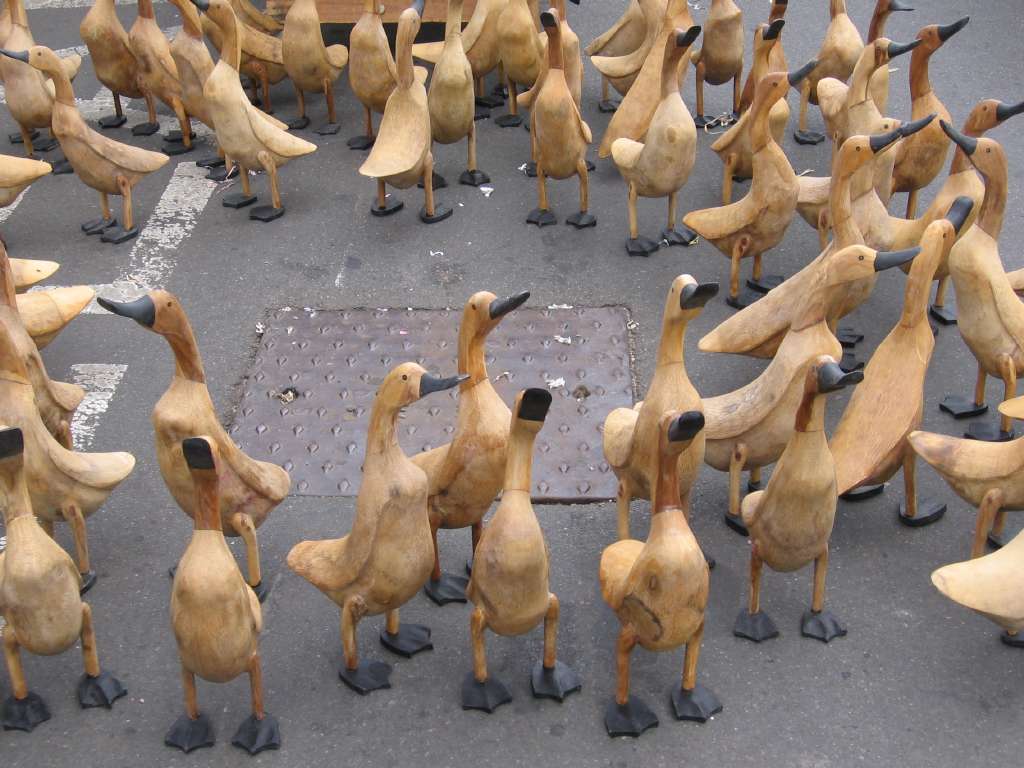 060205ducksVictoriaMkt