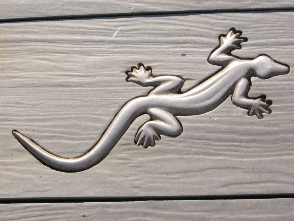 060223salamanderDocklands