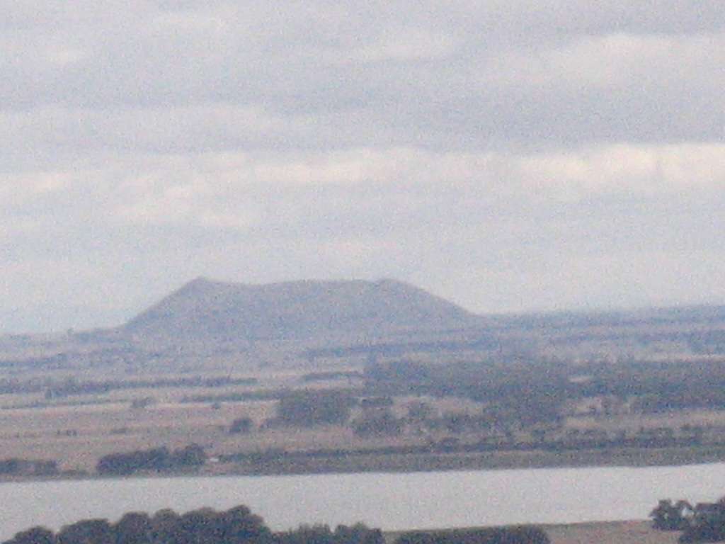 060219ElephantFromCamperdown