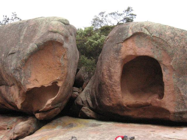 060122walrusesQMSleepyBay