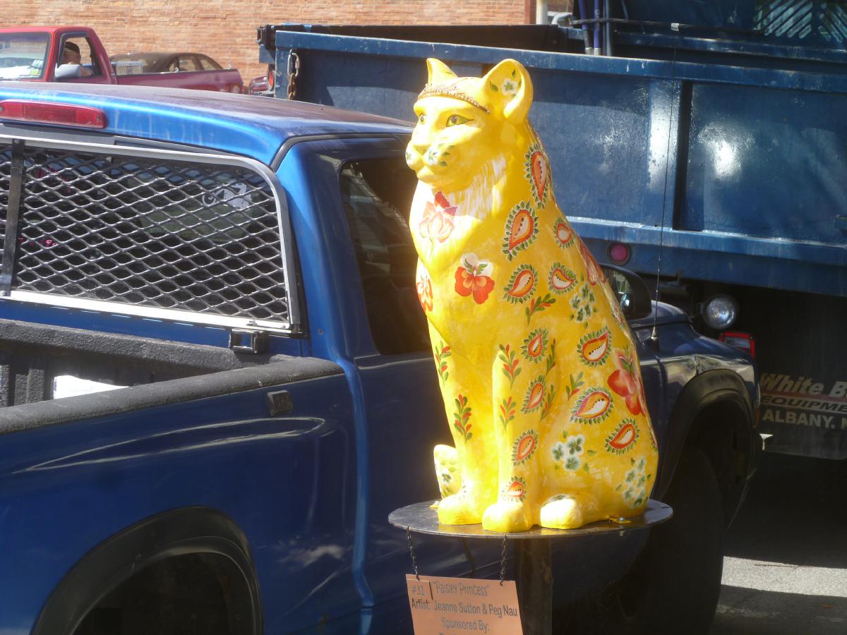 gf140828catCatskill