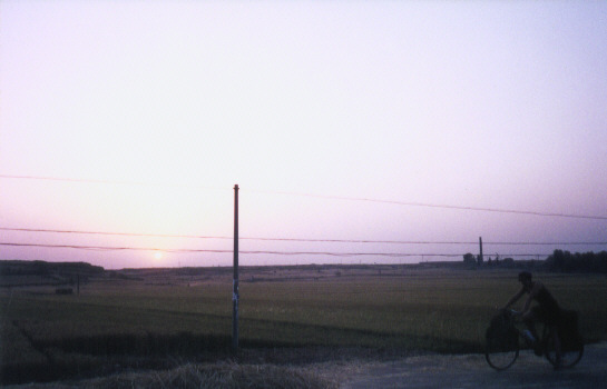 Sunset over the wheat fields (K)