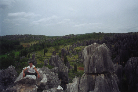 Welcome to STONE FOREST!!!