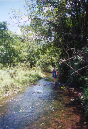 Taking a dip in the river