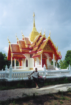 One of the many gorgeous buddhist temples we passed.