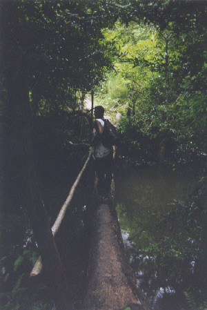 The start of the trail up the mountain.