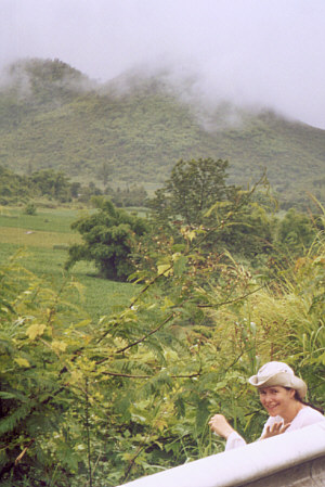 Mountains in the mist