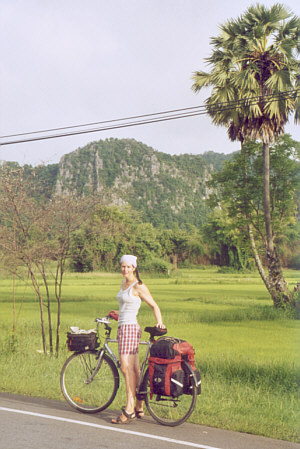 Rice fields with limestone cliffs