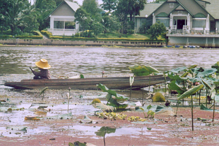 Fishing on the Kwai river