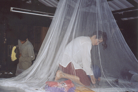 Setting up camp in Doi Luang National Park