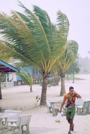 Tropical rainstorm