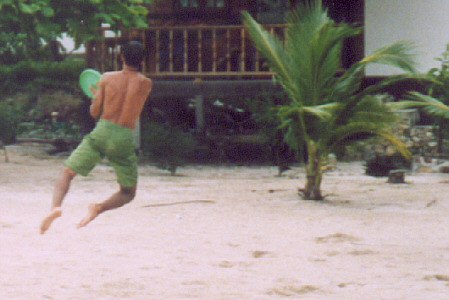 Frisbee action shot