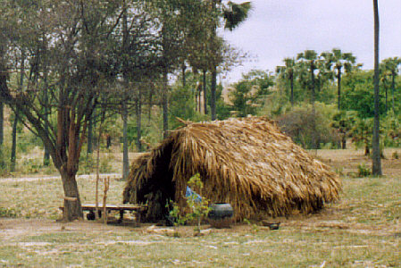 Typical hut