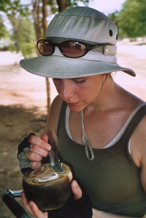 Eating toddy palm