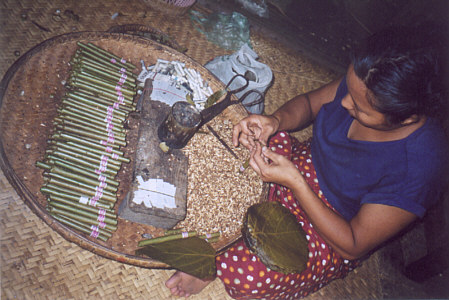 Rolling traditionnal cherroots (burmese cigars)