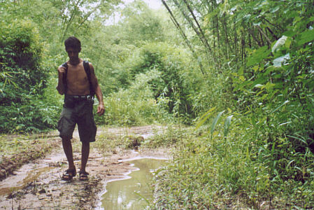 Trekking in the humid heat