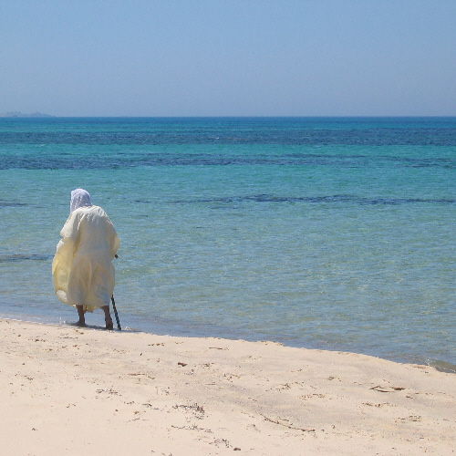 The old man and the sea