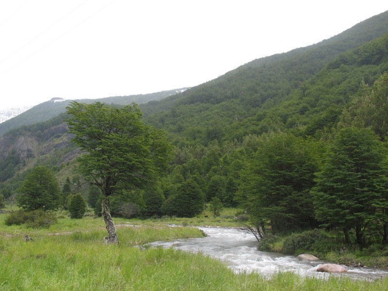 peacefulriverincerrocastillonationalreserve.jpg