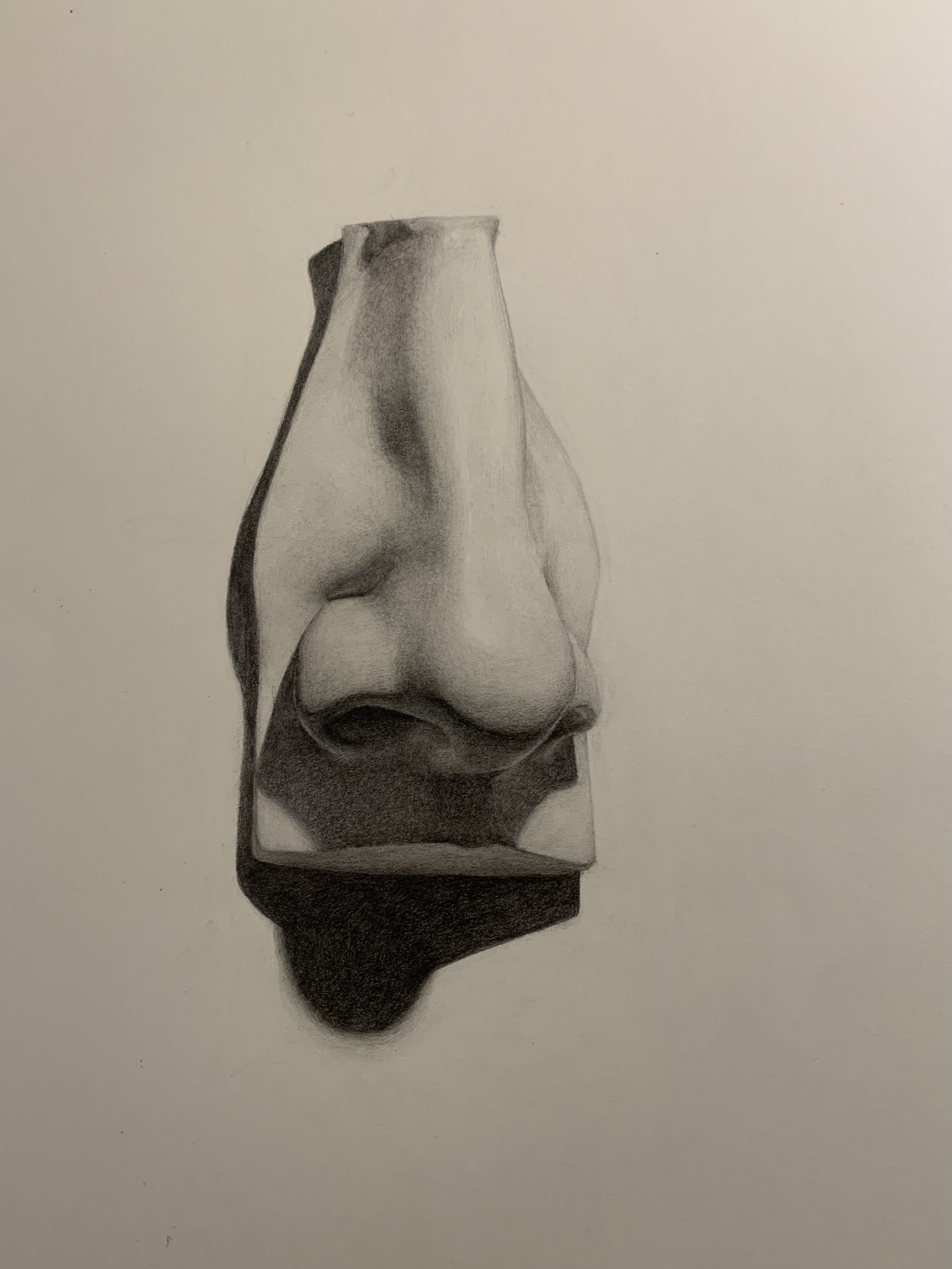 a drawing of a nose