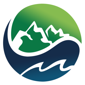 Insight Logo